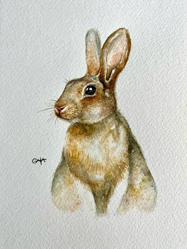 Hare [Commission]
