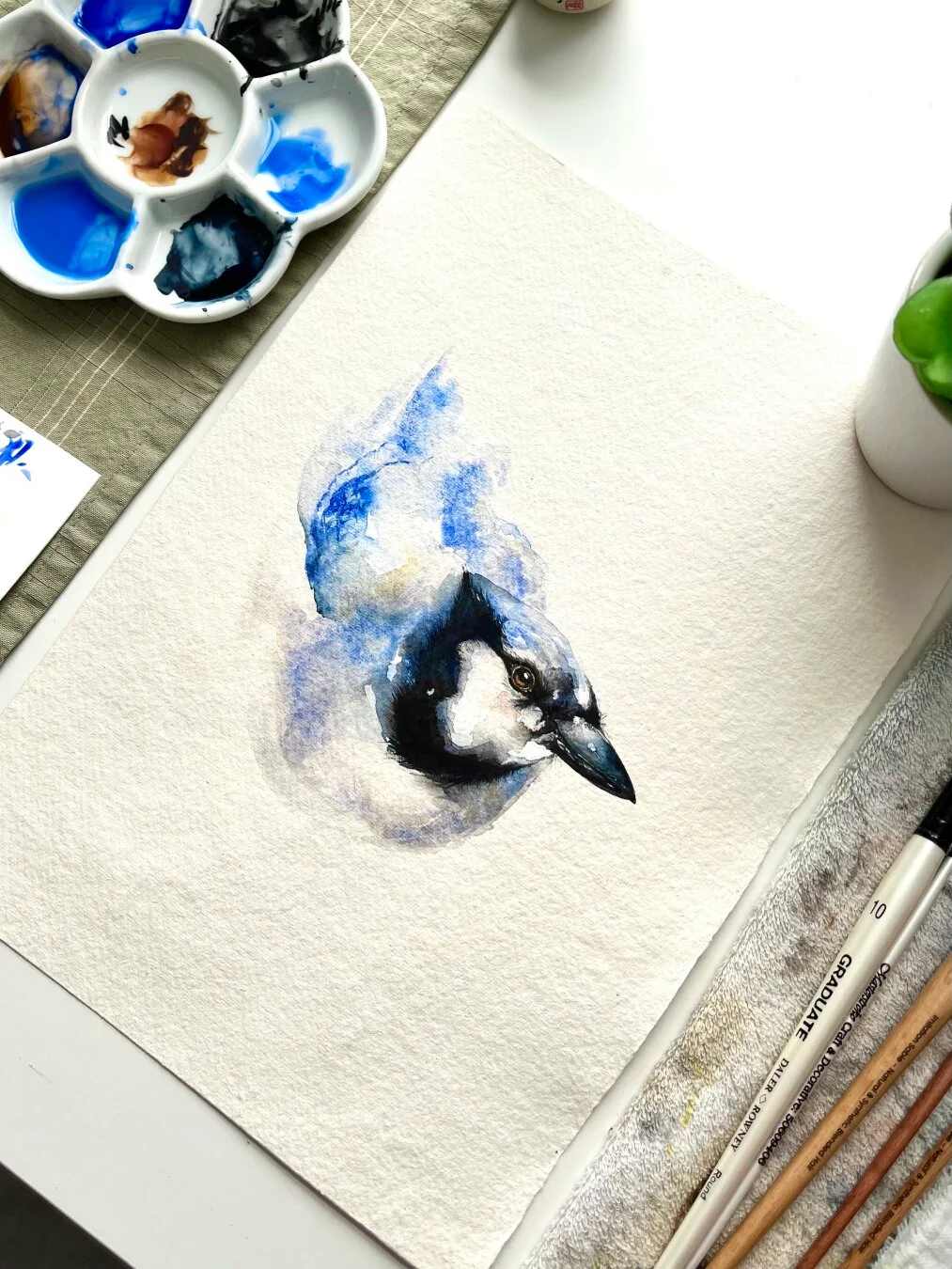 Bringing a beautiful Blue Jay to life in soothing watercolours. 🕊️ Watch the full relaxing process here: https://youtu.be/KEOeokM2Pr0 #watercolor #aquarelle #art #painting #relaxing #paintwithme #artwork #watercolorpainting #watercolourpainting #watercolour #natureart #birds #birdart #birdpainting #aquarelleart #illustration #bluejay #bluejays #relaxingart